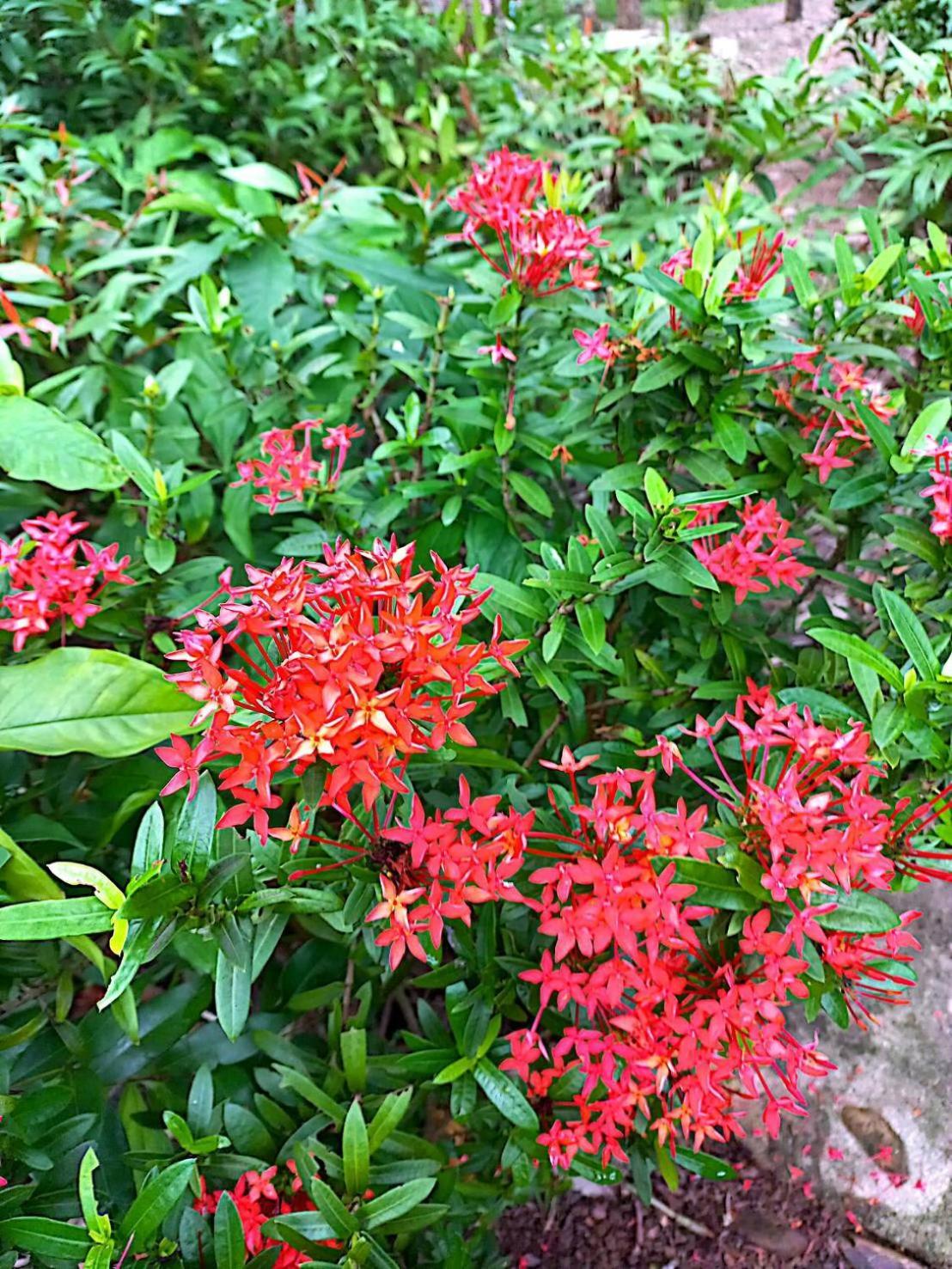 קו לנטה Lanta Maikeaw Bungalow מראה חיצוני תמונה