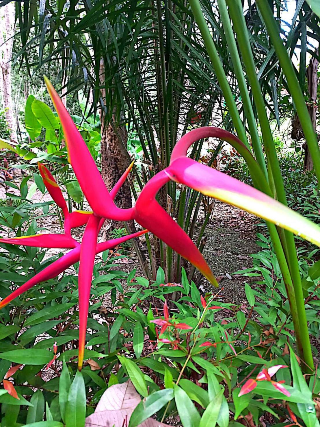 קו לנטה Lanta Maikeaw Bungalow מראה חיצוני תמונה