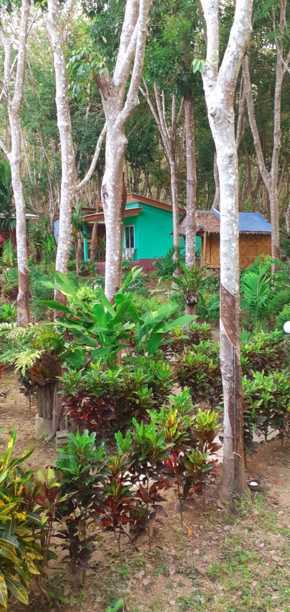 קו לנטה Lanta Maikeaw Bungalow מראה חיצוני תמונה