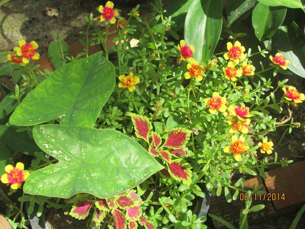 קו לנטה Lanta Maikeaw Bungalow מראה חיצוני תמונה